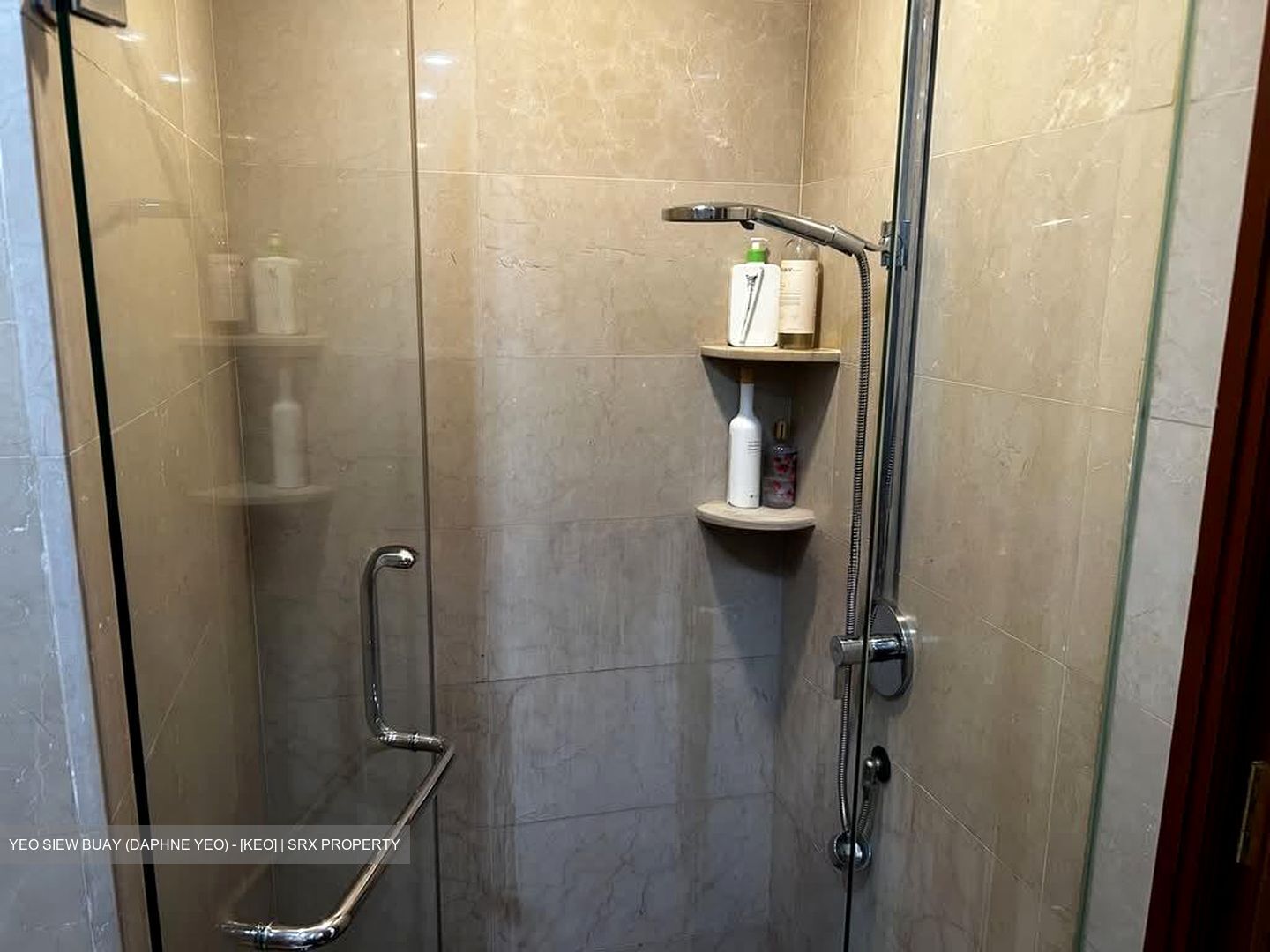 Aspen Heights (D9), Condominium #605118031